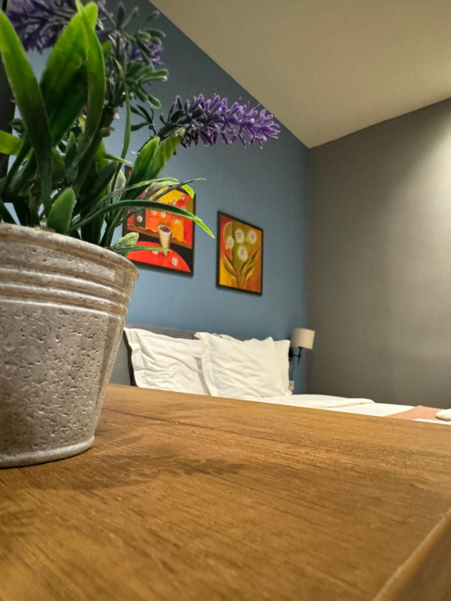 טיראנה Hotel Tirona מראה חיצוני תמונה