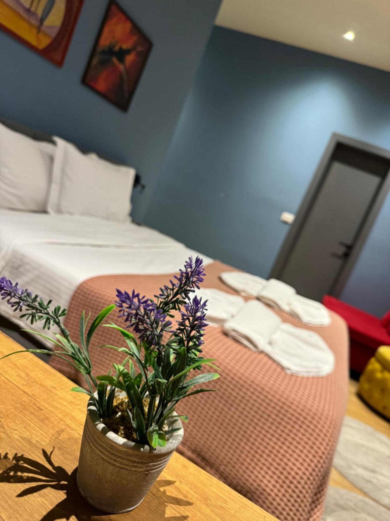 טיראנה Hotel Tirona מראה חיצוני תמונה